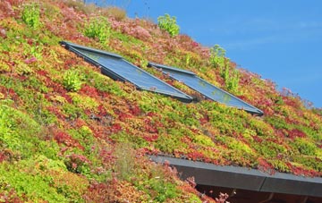 Thorpe Mandeville living roof systems
